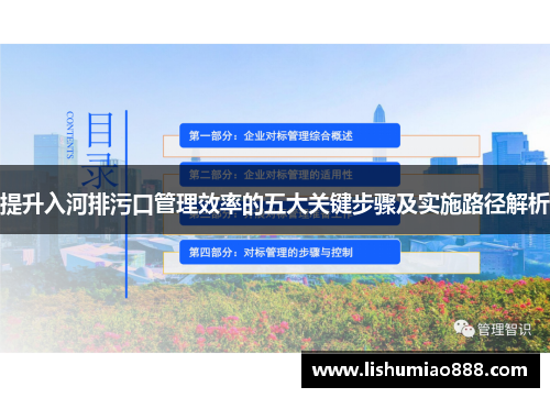 提升入河排污口管理效率的五大关键步骤及实施路径解析