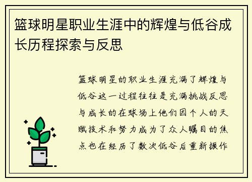 篮球明星职业生涯中的辉煌与低谷成长历程探索与反思
