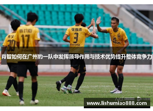 肖智如何在广州豹一队中发挥领导作用与技术优势提升整体竞争力