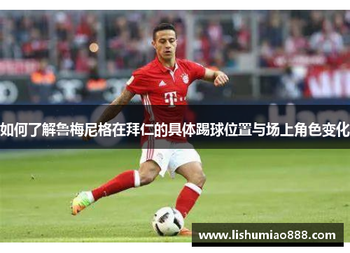 如何了解鲁梅尼格在拜仁的具体踢球位置与场上角色变化