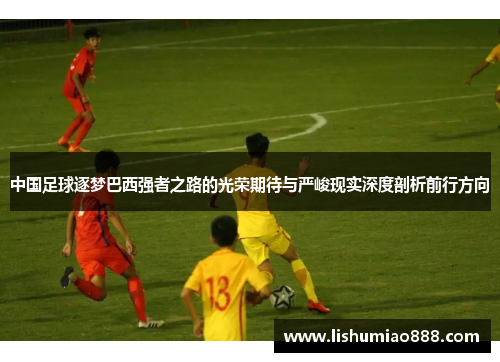 中国足球逐梦巴西强者之路的光荣期待与严峻现实深度剖析前行方向 中国足球逐梦巴西强者之路的光荣期待与严峻现实深度剖析前行方向